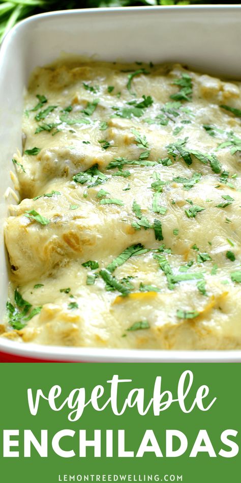 Best Vegetarian Meals Dinners, Roasted Veggie Enchiladas, Black Bean Corn Enchiladas, Roasted Vegetable Enchiladas, Best Vegetarian Enchiladas, Veggie Chimichanga Recipe, Salsa Verde Vegetarian Enchiladas, Vegetarian Green Chili Enchiladas, Enchilada Casserole Vegan