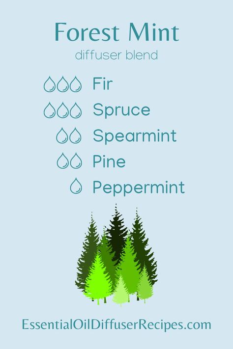 The Forest Mint essential oil diffuser blend contains fir, spruce, spearmint, pine, and peppermint essential oils. Thyme Essential Oil Diffuser Blends, Diffuser Scents, Fir Needle Essential Oil, Mint Essential Oil, Pine Essential Oil, Essential Oil Combinations, Essential Oils For Headaches, Spearmint Essential Oil, Diffuser Oil