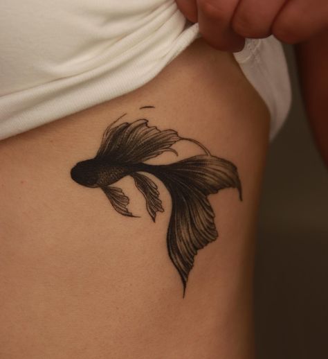 Betta Fish Tattoo, Betta fish tattoo design, women's Betta fish tattoo, Betta fish tattoo designs, simple Betta fish tattoo, watercolor betta fish tattoo, Betta fish tattoo small, black Betta fish tattoo, small Betta fish tattoo, realistic betta fish tattoo, betta fish tattoo simple, betta fish tattoo drawing, betta fish tattoo ideas, red betta fish tattoo, geometric betta fish tattoo, Betta fish tattoo traditional,Female betta fish Tattoo,Betta fish tattoo outline,Siamese fighting fish Tattoo Fish Tattoo Drawing, Black Betta Fish, Fish Tattoo Traditional, Red Betta Fish, Betta Fish Tattoo, Fish Tattoo Design, Female Betta, Tattoo Watercolor, Theme Tattoo