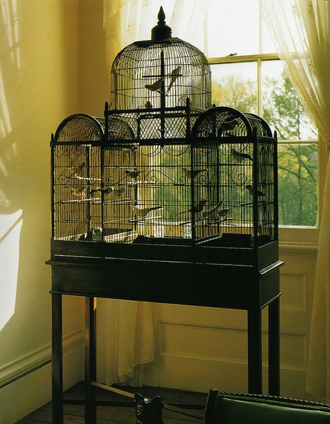 Bird Cage Inspiration | Flickr - Photo Sharing! Victorian Aviary, Victorian Birdcage, Antique Birdcage, Finch Cage, Canary Cage, Birds Cage, Bird Cage Design, Wardian Case, Antique Bird Cages