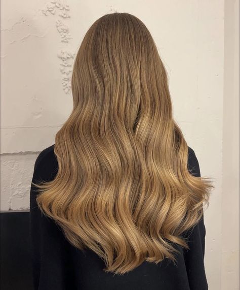 Money Blonde, Gold Brown Hair, Gold Blonde Hair, Light Golden Brown Hair, Hair Dye Shades, Brown Hair Inspiration, Beachy Waves Hair, Perfect Blonde Hair, Golden Brown Hair