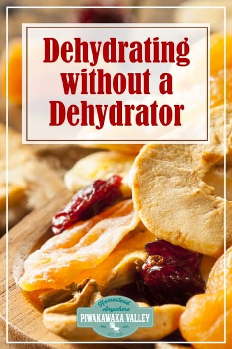 Dehydrating Food In Oven, Dehydrating Fruit In Oven, Dehydrating In The Oven, Oven Dehydrating, Dehydrate In Oven, Dehydrate Vegetables, Dehydrating Vegetables, Dehydrating Fruit, Dehydrating Food Storage