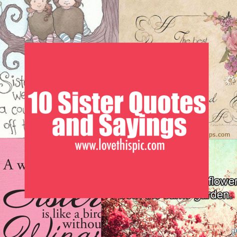 We have 10 quotes and sayings for those are have a sister or sisters that will make you think of her. Younger Sister Quotes Funny, Sister Sayings Short, Younger Sister Birthday Quotes Funny, Sister Sayings And Quotes, Younger Sister Birthday Quotes, Sayings For Sisters, Sister Quotes And Sayings, Sister Birthday Quotes Funny, Sister Sayings