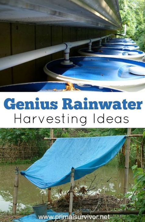 Genius Rainwater Harvesting Ideas for Survival Situations. But going from 100 gallons to 2 gallons per day is going to be a big change. You’ll probably end up using more than you realize, and soon your precious stockpile of water will be gone. So you will need to have a way to replenish your water supply. And that is where rainwater harvesting comes in. Rain Collection System, Rain Catcher, Water Collection System, Water From Air, Rainwater Collection, Rainwater Harvesting System, Rain Collection, Survival Supplies, Rainwater Harvesting