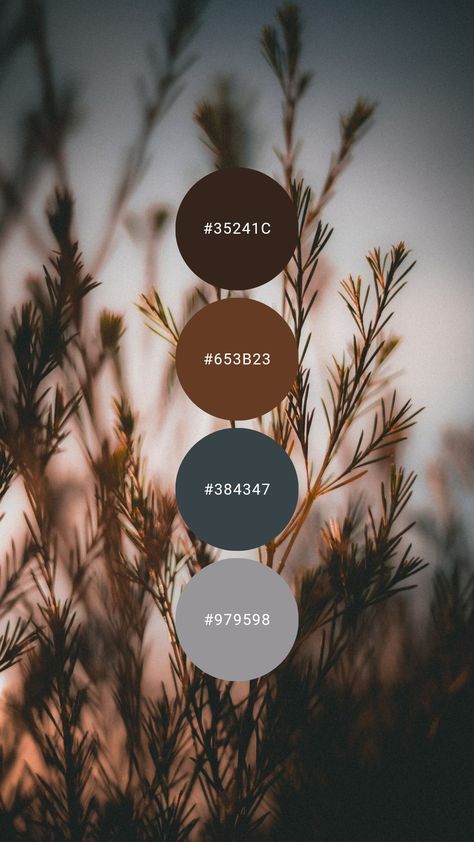 Woodsy Colour Palette, Brown Stone Color Palette, Brown Leather Color Palette, Espresso Brown Color Palette, Hunting Lodge Color Palette, Copper Color Palette Colour Schemes, Canva Fall Color Palette, Rugged Color Palette, Fall Color Palette With Blue