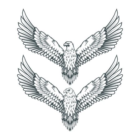 Eagle Wing Tattoos, Bald Eagle Tattoos, Birds Drawing, Eagle Vector, Eagle Drawing, Realistic Temporary Tattoos, Eagle Tattoos, Tattoo Graphic, Eagle Tattoo