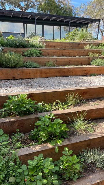 Shallow Garden Steps, Sloped Garden Steps, Stepped Flower Beds, Stair Garden Outdoor, Terraced Veggie Garden, Terraced Side Yard, Floating Garden Steps, Outdoor Garden Steps Ideas, Wide Outdoor Stairs