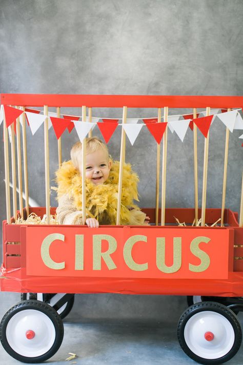 Circus lion costume! http://www.stylemepretty.com/living/2015/10/07/diy-halloween-costume-circus-lion/ | Photography: Ruth Eileen - http://rutheileenphotography.com/ Wagon Halloween Costumes, Wagon Costume, Circus Halloween Costumes, Circus Wagon, Lion Halloween Costume, Lion Halloween, Circus Lion, Twin Halloween, Baby Kostüm