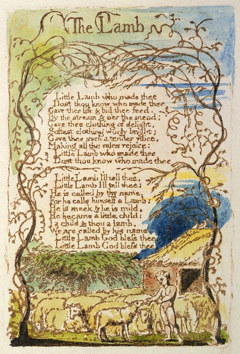 The Lamb by William Blake The Lamb William Blake, William Blake Poems, William Blake Paintings, Baby Name Book, Sheep Drawing, Songs Of Innocence, Bless The Child, Heart Defect, English Poets