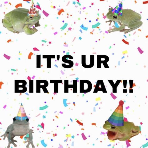 Frog Pictures, Výtvarné Reference, Lol Memes, Yes It Is, Birthday Meme, Cute Messages, Instagram Happy Birthday, Celebrity Tattoos, Cute Frogs