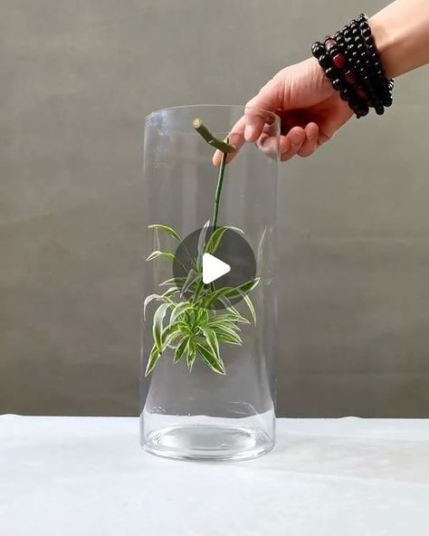 Vase Bouquet Floral Arrangements, How To Arrange Flowers In A Vase, Diy Small Flower Arrangements, Tropical Flower Arrangements Diy, Altar Flower Arrangements, Glass Flower Arrangements, Flower Arrangements Diy Vase, Flowers Dining Table, Easy Flower Arrangements Diy