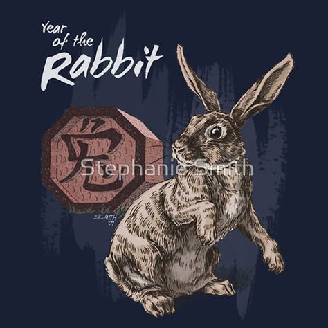 Chinese Zodiac Signs Rabbit, Chinese Zodiac Art, Chinese Signs, Chinese Zodiac Rabbit, Jackie Chan Adventures, The Year Of The Rabbit, Rabbit Colors, Zodiac Years, New Year Art