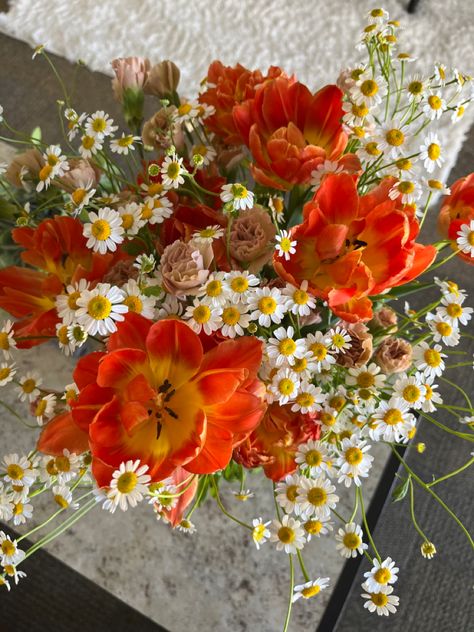 Bouquet with flowers from trader joes - peony tulips, camomile, carnations - bright, orange, yellow, pink Orange Yellow Flower Arrangements, Light Orange Bouquet, Flowers Bouquet Trader Joes, Orange Peony Bouquet, Bright Orange Bouquet, Spring Tulip Bouquet, Orange Daisy Bouquet, Orange Spring Flowers, Red Orange Yellow Flower Arrangement