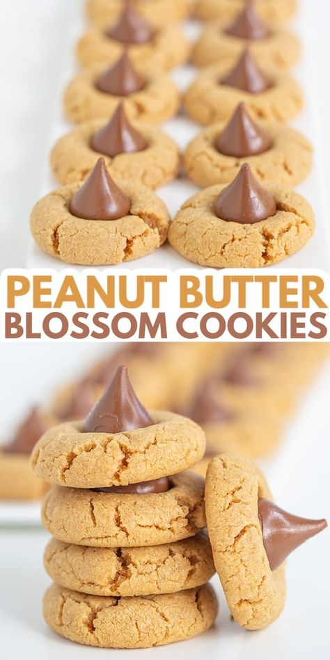 Peanut Butter Blossoms - These are the best Peanut Butter Blossoms! They're made with butter, loads of peanut butter, and the perfect balance of brown sugar and granulated sugar. Pop a chocolate kiss in the center and they're ready for serving! This is the Hershey Kiss Cookie recipe that you have to try! #cookiedoughandovenmitt #peanutbutter #cookies #dessert Hershey Kiss Cookie, Best Peanut Butter Blossoms, Kiss Cookie, Kiss Cookie Recipe, Peanut Butter Blossoms Recipe, Peanut Butter Kiss, Peanut Butter Blossom, Peanut Butter Kiss Cookies, Peanut Butter Dessert Recipes