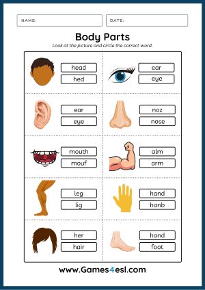 Download free body parts worksheets and use them in class today. On this page, you can find a collection of PDF worksheets for teaching parts of the body to Evs Worksheet For Ukg Students, Part Of Body For Kids, Body Parts For Kids Worksheets, Body Parts Worksheet For Kids, My Body Worksheets For Kids, Parts Of The Body For Kids Activities, Body Worksheets For Kids, Esl Worksheets For Beginners, Body Parts Worksheet