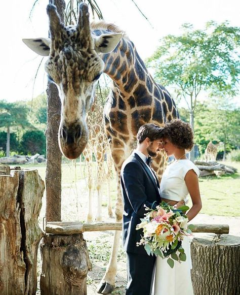 ╳ @M o s t l y M a y a ╳ Interracial Couple Wedding, Couple Wedding Photography, Zoo Pictures, Alternative Wedding Venue, Aquarium Wedding, Safari Wedding, Zoo Wedding, Interracial Wedding, Interracial Couple