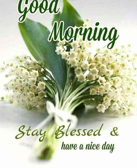 Romantic Good Morning Messages, Good Morning Sunday Images, Good Morning Wishes Gif, Good Morning Beautiful Gif, Cute Good Morning Images, Good Morning Nature, Good Morning Beautiful Flowers, Good Morning Friends Images, Good Morning Flowers Gif