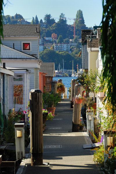 Seattle Street, Seattle Neighborhoods, Houseboat Living, Seattle Restaurants, Seafood Restaurants, Seattle Homes, Lake Union, Evergreen State, Downtown Seattle