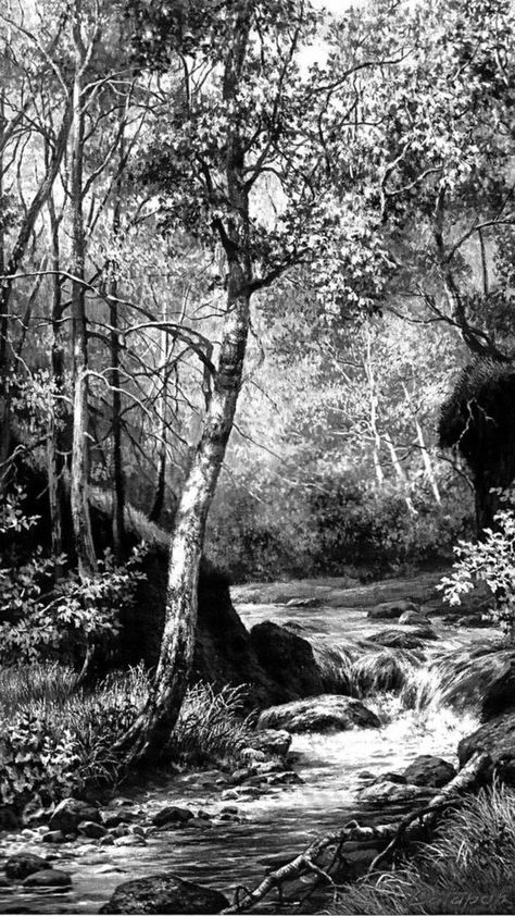 Scratchboard Art Landscape, Black And White Forest Drawing, Landscape Pencil Drawings Nature, Art Drawings Landscape, Forest Pencil Drawing, Pencil Sketches Landscape, Forest Sketch, Landscape Pencil Drawings, Drawing Scenery