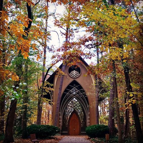 Mildred B Cooper Chapel, Bella Vista, Arkansas.  I walk the trails here often. Beautiful in the Fall!  Photo by Janet Mitchell Mildred Cooper Chapel, Mildred B Cooper Chapel, Arkansas Chapel, Hot Springs Arkansas Chapel, Cooper Chapel Arkansas, Windows Architecture, Bella Vista Arkansas, Glass Chapel Oklahoma, Wedding Chapels