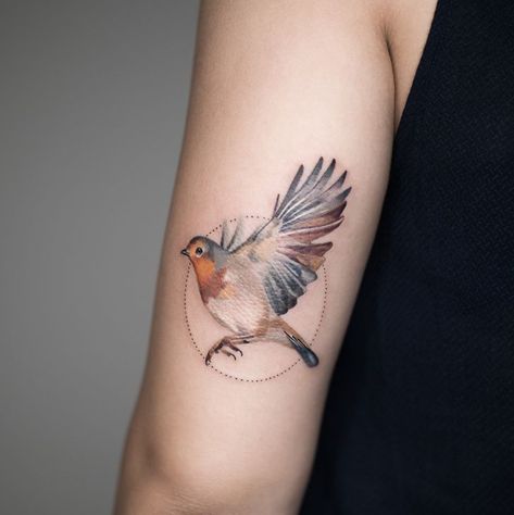 N E W W O N D E R on Instagram: “I had so much fun tattooing this Robin, her first coloured piece. 🦅” Floral Watercolor Tattoo, Robin Tattoo, Tattoo On Wrist, Related Tattoos, Belly Tattoos, Traditional Style Tattoo, Ribcage Tattoo, Hummingbird Tattoo, Style Tattoo