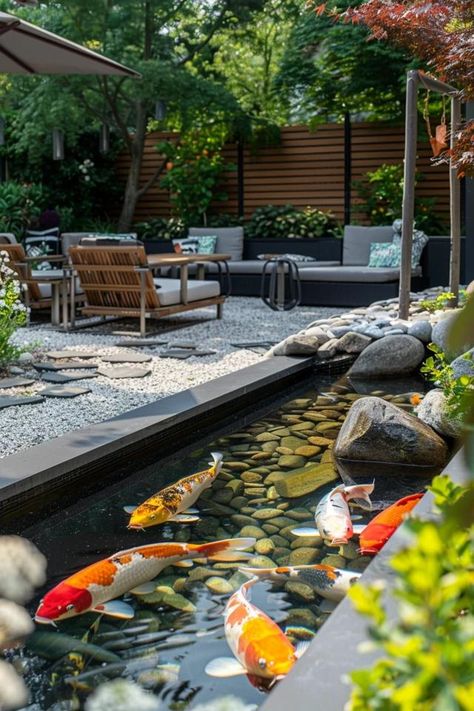 Refreshing Backyard Koi Pond Ideas for Your Oasis Rectangle Koi Pond, Patio Ponds Ideas, Outdoor Koi Pond Ideas, Koi Pond Landscaping, Koi Fish Pond Backyard, Backyard Koi Pond Ideas, Raised Koi Pond, Indoor Koi Pond, Small Koi Pond