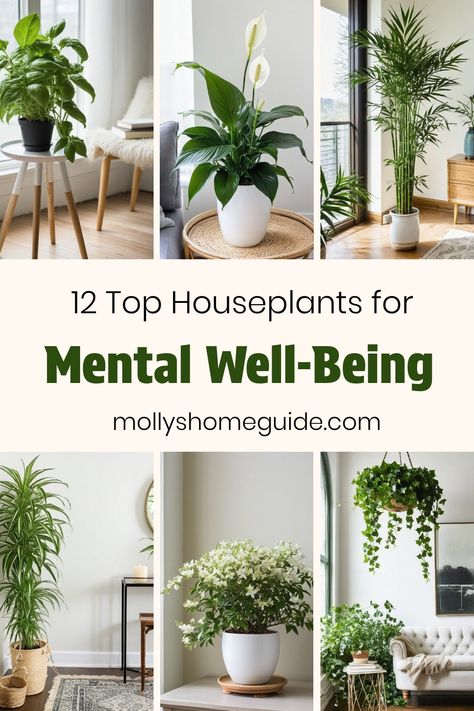 Positive Plants For Home, Indoor Plant Bedroom Ideas, Beautiful Indoor Plants Living Rooms, Indoor Bedroom Plants Decor, Best Home Plants For Your Health, Trailing House Plants Indoor, Indoor Plants Health Benefits, Healthy Plants For The Home, Benefits Of House Plants