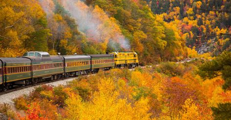 The 10 Best Fall Train Rides in the U.S. Blue Ridge Scenic Railway, Chattahoochee National Forest, Scenic Train Rides, Canada Travel Guide, Train Route, Scenic Railroads, Leaf Peeping, New England Fall, White Mountains