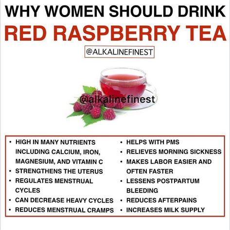 Repost from @alkalinefinest using @RepostRegramApp - Red raspberry leaf back in stock clink link in bio🔝🔥 Red raspberry leaves are high in… Rasberry Leaf Tea, Red Raspberry Tea, Raspberry Leaves, Raspberry Leaf Tea, Red Raspberry Leaf, Raspberry Leaf, Raspberry Tea, Increase Milk Supply, Healthy Drinks Smoothies