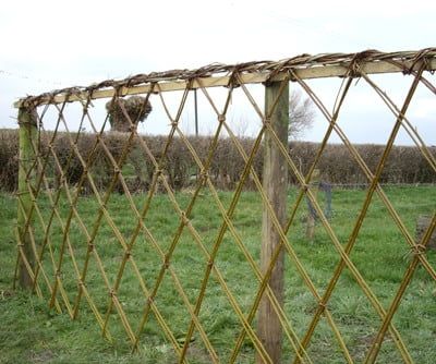 A living willow fence is a beautiful way to create boundaries around outdoor areas, read more to find out how to create one. Living Willow Fence, Woven Fence, Manor House Interior, Willow Fence, Living Willow, Country Garden Decor, Red Living, Willow Weaving, Fencing & Gates