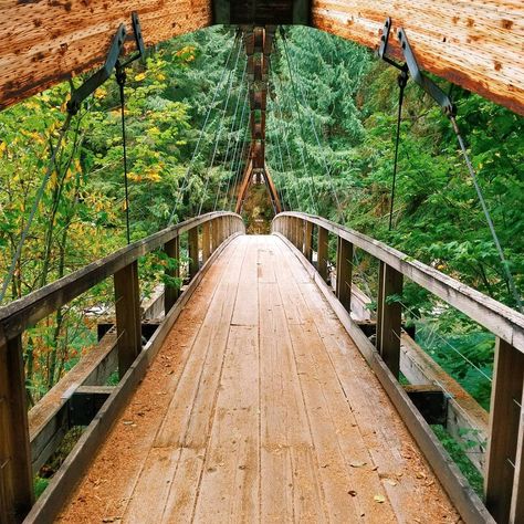 12 essential Seattle-area hiking trails Seattle Camping, Seattle Apartment Aesthetic, Seattle Washington Things To Do, Hiking In Washington State, Seattle Washington Aesthetic, Seattle Hikes, Seattle Hiking, Seattle Aesthetic, Travel Seattle