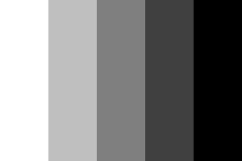 From Black to White Color Palette Movie Color Palette, Monochrome Color Palette, Paula Scher, Dark Color Palette, Black Color Palette, Black And White Movie, Grey Color Palette, Grey Color Scheme, Bedroom Color Schemes