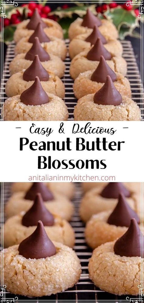 Peanut Butter Kiss Cookies Recipe, Peanut Butter Thumbprint Cookies, Easy Delicious Cookies, Xmas Cookies Recipes, Kiss Cookie Recipe, Peanut Butter Blossom, Christmas Cookie Recipes Holiday, Butter Blossoms, Simple Cookie