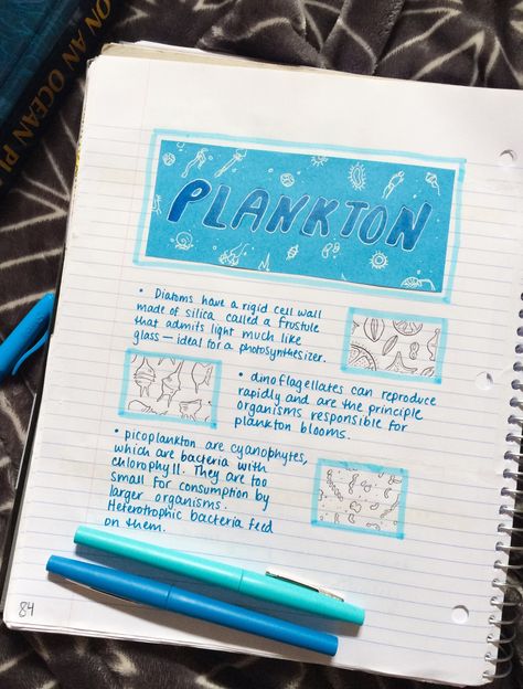 Marine Biologist Tattoo, Marine Biology Notes Sharks, Marine Biology Study Notes, Marine Biologist Aesthetic Notes, Marine Biology Notebook, Marine Biology Journal, Marine Biology Major, Marine Biologist Notes, Marine Biology Aesthetic Notes