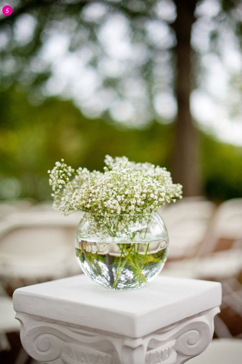 centerpiece option Fishbowl Centerpiece, Fall Wedding Ceremony Decorations, Baby's Breath Wedding Flowers, Dream Marriage, Blue Centerpieces, Fall Wedding Diy, Wedding Diary, Wedding Help, Babies Breath