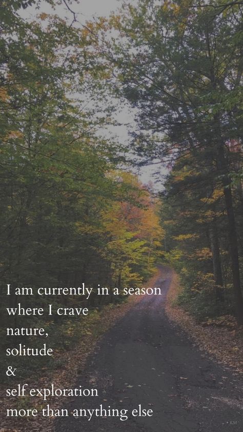 A winding autumn road with a quote about solitude and nature Nature Soul Quotes, Scenery Quotes Nature, Peaceful Morning Quotes, Serenity Quotes Nature, Quotes About Nature And Peace, Solitudeness Wallpaper, Solitary Life Aesthetic, A Good Life, Solitudeness Quotes Aesthetic