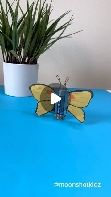 DIY electronics, stem and science activities for beginners on Instagram: "DIY “Yellow butterfly” homopolar motor. Easy and fun electronics project for beginners.
You will need:
- Bare copper wire (without antioxidant layer)
- AAA battery
- Magnets (neodymium)
- Tracing paper 
- Markers

Warning: this project should be done under adult supervision.

Order supplies here: https://www.amazon.com/shop/moonshotkidz

#stem #stemlearning #stemeducation #stemteacher #stemactivities #science #papercircuit #papercraft #crafts #easycraft #scienceteacher #scienceexperiment" Easy Butterfly Crafts For Kids, Science Projects For High School, Easy Science Projects For Kids, Experiments For Kids Easy, Butterfly Crafts For Kids, Steam Activities For Kids, Homopolar Motor, Easy Science Experiments For Kids, Science Exhibition Projects