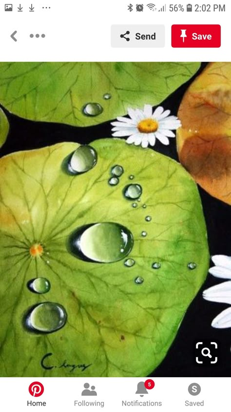 Water Drop Painting, Ikan Air Tawar, Koi Painting, Lotus Painting, Soft Pastel Art, Drops Of Water, 수채화 그림, Rock Painting Designs, Nature Art Painting