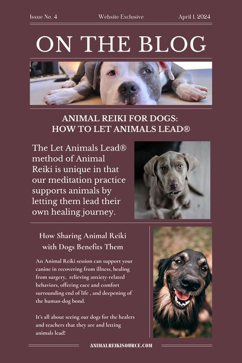 Curious about how Reiki for dogs works?   There is so much to learn about sharing Reiki with our beloved canine friends such as...  🐾 The benefits of Reiki for dogs 🐾 How to read a dog's body language during a session 🐾 What makes dog Reiki different from human Reiki 🐾 How to support their agency and self-healing during a session  ...and so much more.   Check out our blog on Animal Reiki for dogs to dive into the details so you can make the most of facilitating energy healing for dogs. ✨ Dog Reiki, Benefits Of Reiki, Hold Space, Animal Reiki, Coconut Oil For Dogs, Dog Body Language, Dog Words, Energy Healing Reiki, Reiki Energy