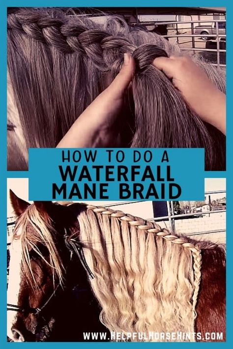 Learn how to do a waterfall horse mane braid on your horse. Includes video instructions. Braided Mane Horse, Horse Braiding Mane, Waterfall Braid Horse Mane, How To Braid Horses Manes, Horse Hairstyles Short Mane, How To Braid A Horse Mane, How To Braid A Horse Tail, Horse Main And Tail Ideas, Horse Braids Tail