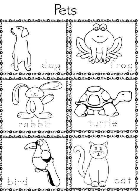 ESL/EFL Preschool Teachers: Pet Activities for Preschool ELL Pet Art Crafts For Preschoolers, Pet Large Group Activities, Pets Preschool Theme Free Printables, Pets Kindergarten Activities, Pets Arts And Crafts Preschool, Pet Activities For Kids, Pet Activities For Preschool, English Preschool, Pet Study