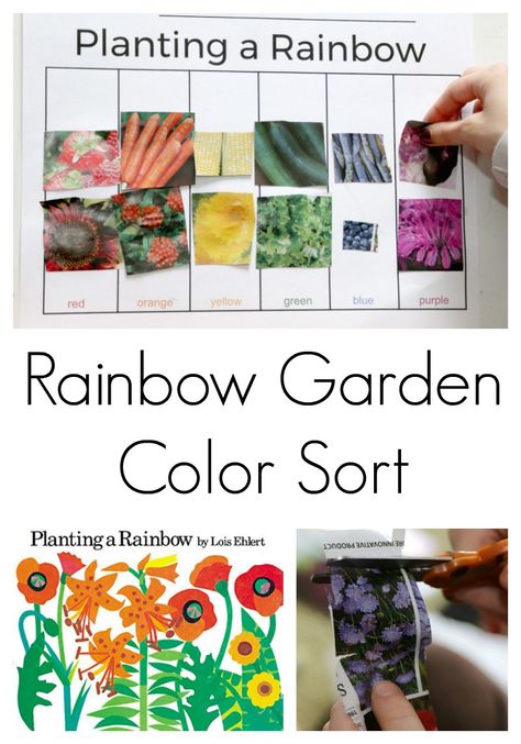 Rainbow garden color sort activity for preschool Planting A Rainbow, Garden Unit, Preschool Garden, Activity For Preschool, Plants Unit, Plant Activities, Rainbow Activities, Plant Study, Garden Activities