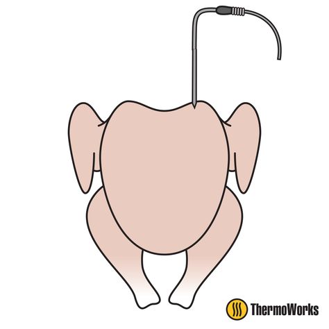 1: Proper Thermometer Probe Placement in Turkeys Turkey Animation, Turkey Temp, Turkey Temperature, Turkey Thigh, Cooking A Turkey, Dry Brine Turkey, Turkey Cooking, Thawing Turkey, Cook A Turkey