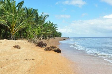 Mount Roraima, Rivers And Roads, Harbor Town, Air Tickets, Shell Beach, Travel Tours, Sandy Beaches, Great Places, The Good Place