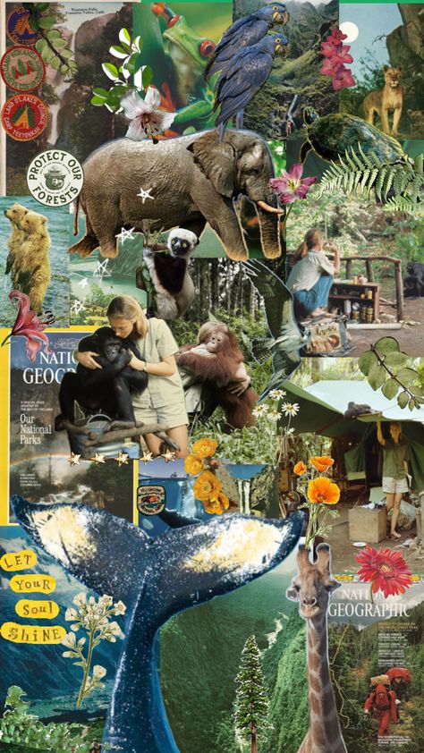 Wildlife Biology Aesthetic, Zoology Career, Wildlife Collage, Vet Medicine, Wildlife Biologist, Nature Collage, Zoo Keeper, Animal Science, Hippie Life