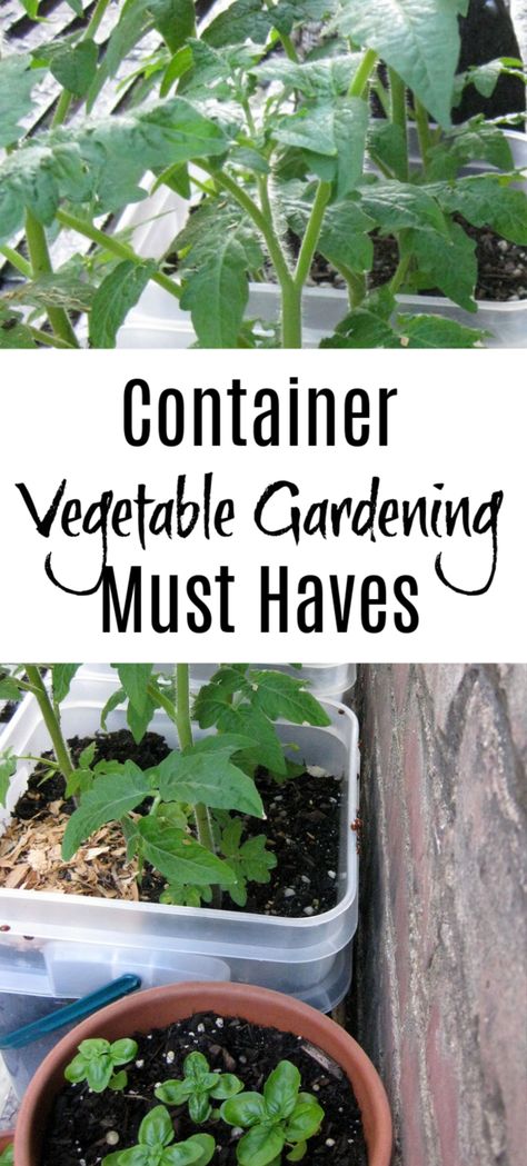 Garden Container Ideas Vegetable, Starting A Container Garden, Container Gardening Layout, Container Garden Layout Ideas, Container Gardening Vegetables Layout, Gardening Must Haves, Vegetables In Pots Container Gardening, Container Garden Layout, Garden Must Haves