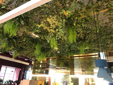 Fake Plant Ceiling Decor, Ceiling Covered In Plants, Flower Ceiling Restaurant, Faux Greenery Ceiling, Faux Plant Ceiling, Fake Plant Ceiling, Fake Vines On Ceiling, Plant Ceiling Decor, Foliage Ceiling