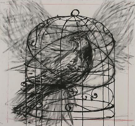 A Bird In A Covered Cage, Mess Free Bird Cage, Caged Animals Art, Bird In Cage Art, Bird In Cage Painting, Bird In A Cage Drawing, Caged Bird Aesthetic, Bird In Cage Drawing, Caged Bird Art