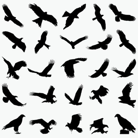 Black Eagle Tattoo, Hawk Silhouette, Bird Silhouette Tattoos, Small Eagle Tattoo, Falcon Tattoo, Adler Tattoo, Tattoo Name Fonts, Vogel Silhouette, Phoenix Logo