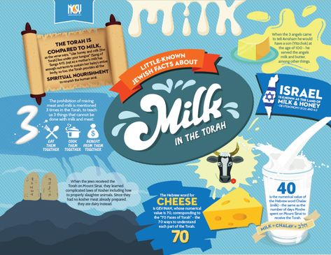 Milk Infographic, Milk Facts, Milk Processing, Human Milk, The Torah, Milk And Cheese, Hebrew Words, Human Soul, Drink Milk